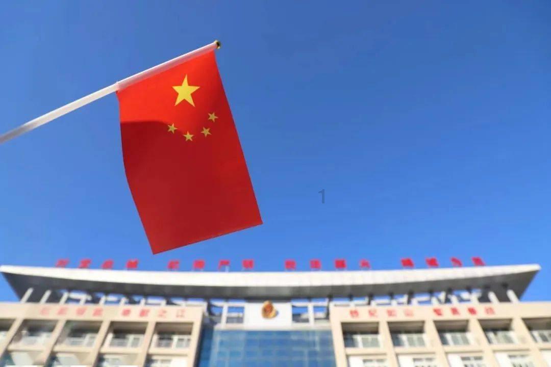 数码宝贝8