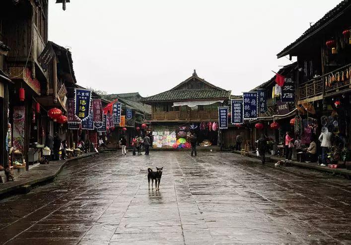 全民剧本大师内置菜单